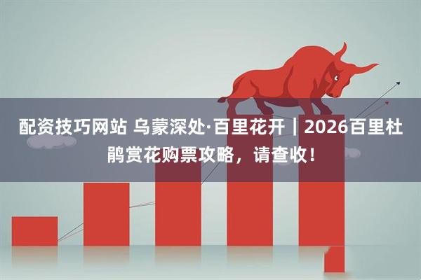 配资技巧网站 乌蒙深处·百里花开｜2026百里杜鹃赏花购票攻略，请查收！